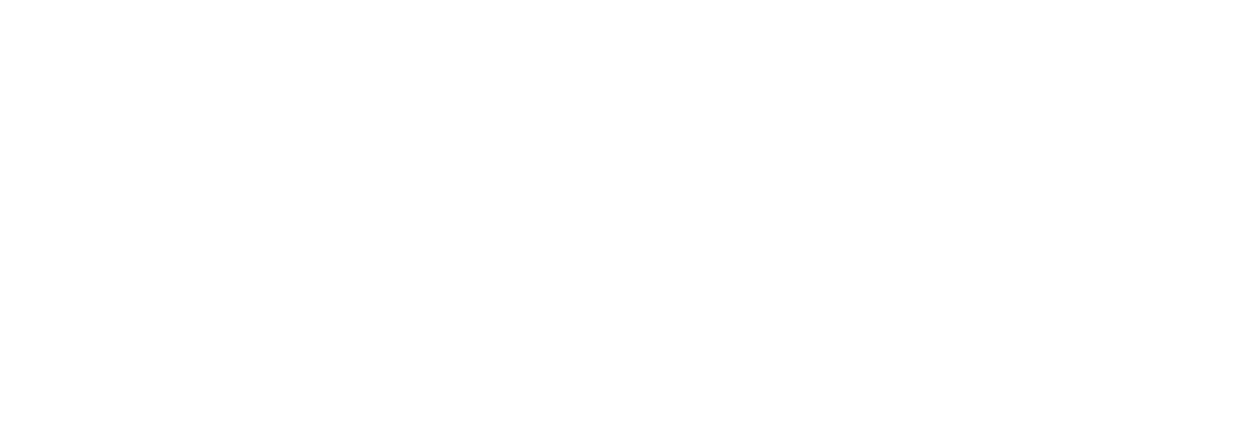 Zini Pro Brand Activations